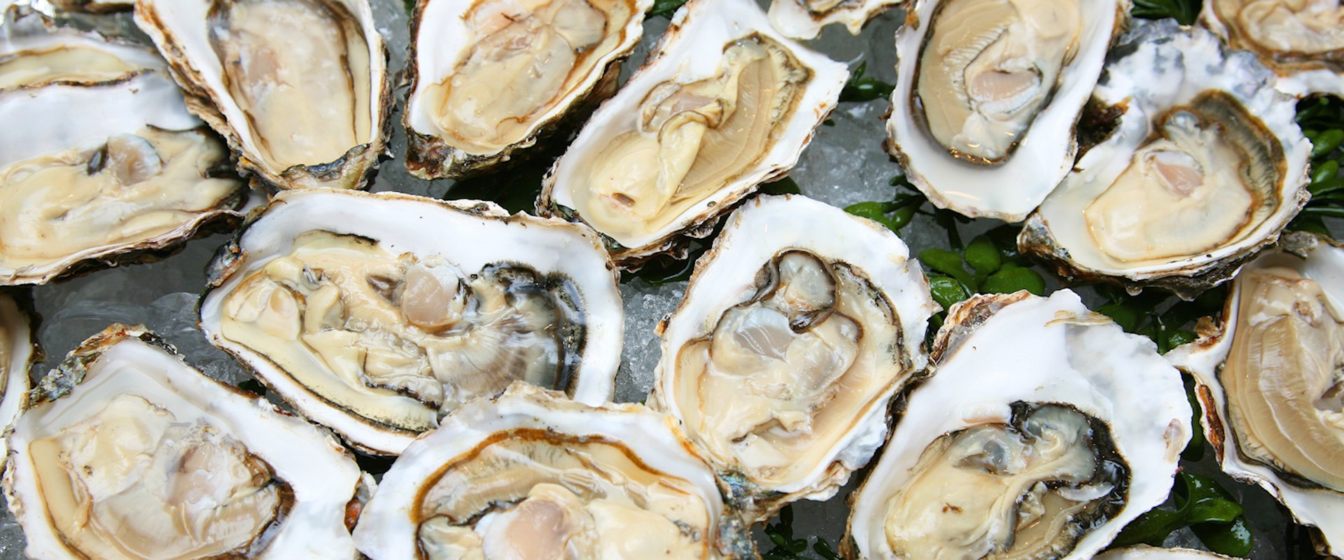 Health Benefits of Eating Oysters from Fairhope, Alabama