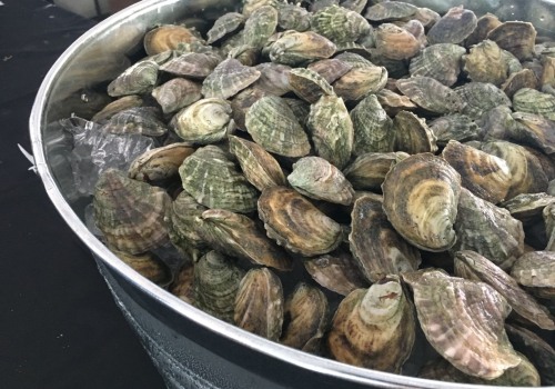 What is the Average Price of Oysters in Fairhope, Alabama?